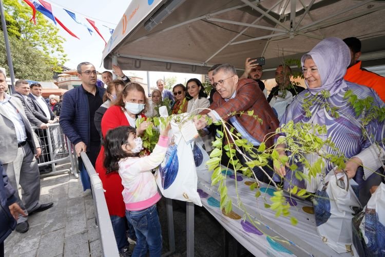 Üsküdar'da Mor Salkım Şenliği ile bahar geldi 