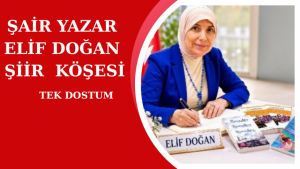 TEK DOSTUM