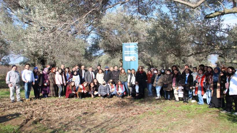 Trabzon hurması ihtiyaç sahipleri için hasat edildi