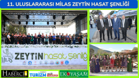 11. Uluslararası Milas Zeytin Hasat şenliği