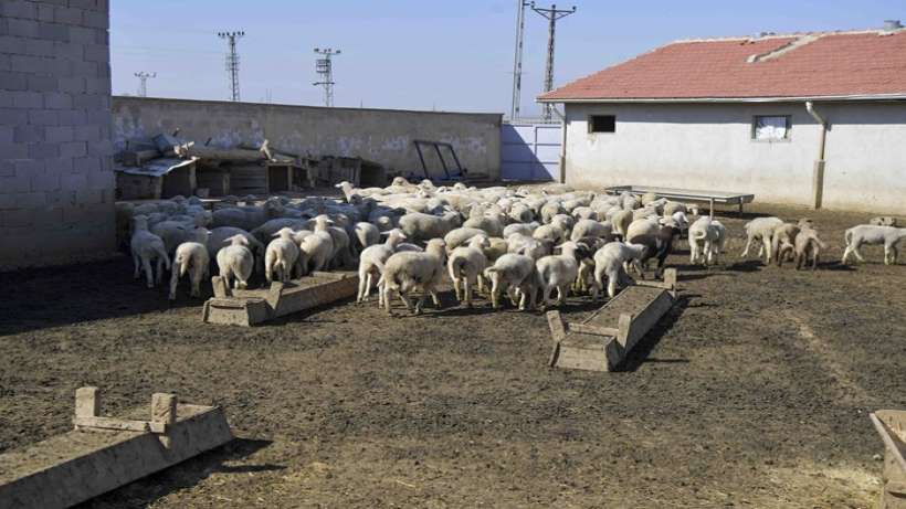 ABB Kırsaldaki üreticiye can suyu olacak