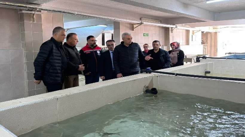 Avrupa'nın sofrasında Türk Balığı var