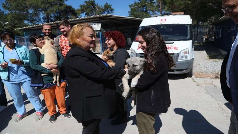 Bodrum, dünya veteriner hekimler gününü kutlandı