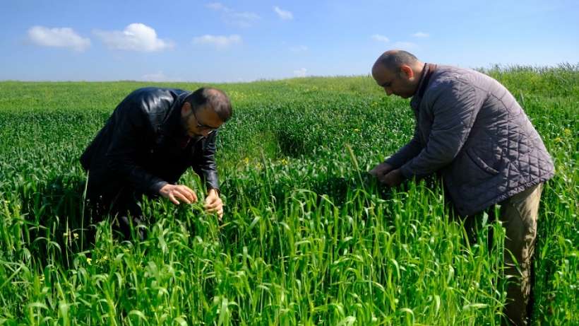 Büyükşehir’den tarımda Ziha’lı uygulama