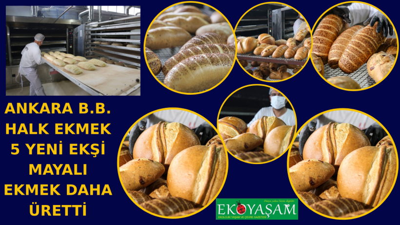 Halk Ekmek 5 Yeni Ekşi Mayalı Ekmek Üretti