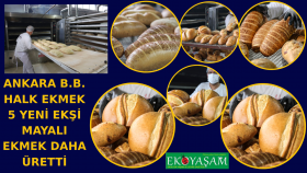 Halk Ekmek 5 Yeni Ekşi Mayalı Ekmek Üretti