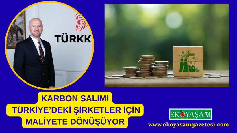 Karbon Salımı Türkiye’deki Şirketler İçin Maliyete Dönüşüyor