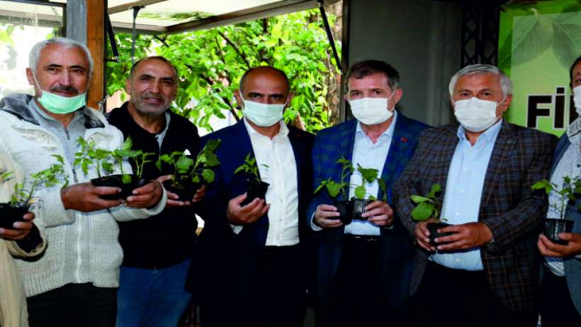 Körfez’de 70 bin fide çiftçiye ulaştırıldı Körfez’de 70 bin fide çiftçiye ulaştırıldı