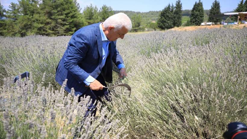 Lavanta Bahçesi Yeni Sezona Hazırlanıyor