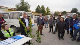 Milas Belediyesi,50 hibeli fidan dağıttı