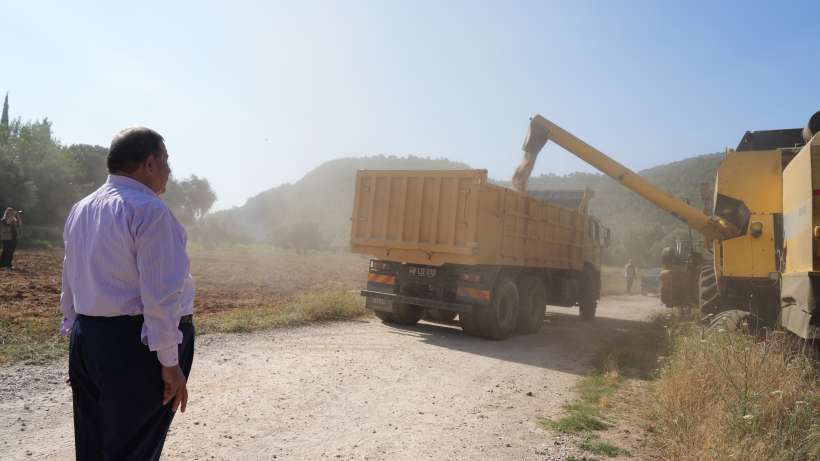 Milas Belediyesi Karakılçık Buğday Hasadı Gerçekleştirdi