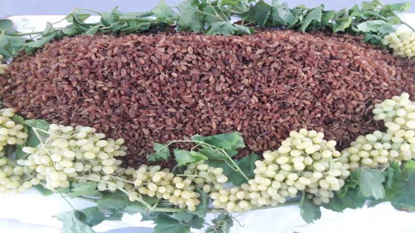 Muhteşem üçlü ihracatta 1 milyar dolar kazandırdı
