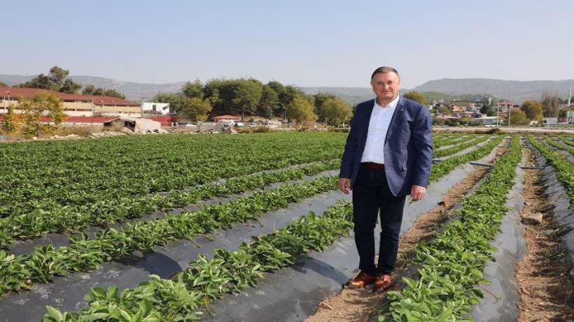 Savaş: Hatay’lı çiftçimiz toprağını bırakmasın diye tüm uğraşımız! Savaş: Hatay’lı çiftçimiz toprağını bırakmasın diye tüm uğraşımız!