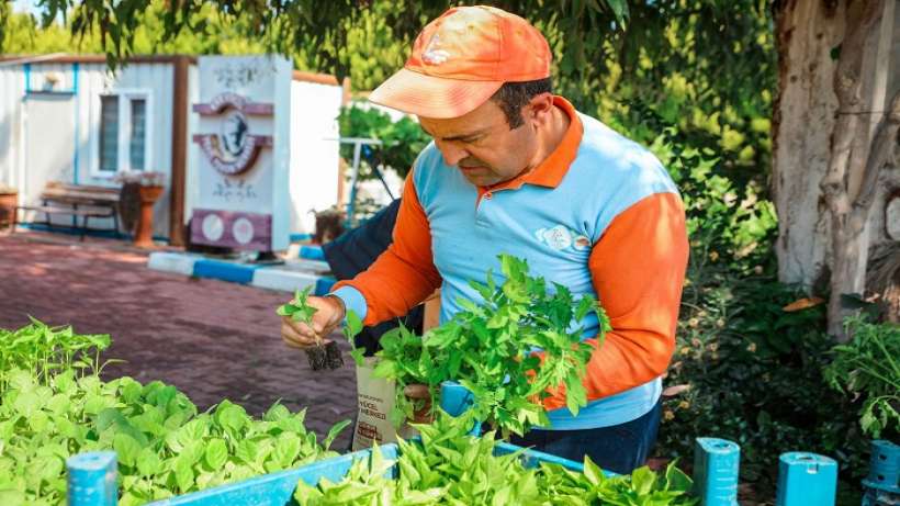 Seferihisar Belediyesi Tohum Takas Şenliği’ne hazırlanıyor