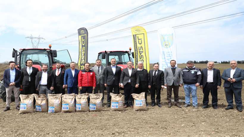 Silivri Belediyesi 1.000 dönüm arazisine milli ayçiçeği ekiyor