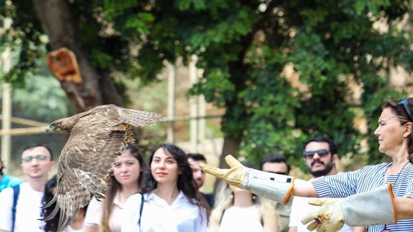 Tedavi edilen yırtıcı kuşlar doğaya bırakıldı Tedavi edilen yırtıcı kuşlar doğaya bırakıldı
