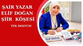 TEK DOSTUM
