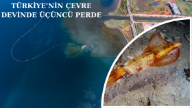 Türkiye’nin Çevre Devinde Üçüncü Perde